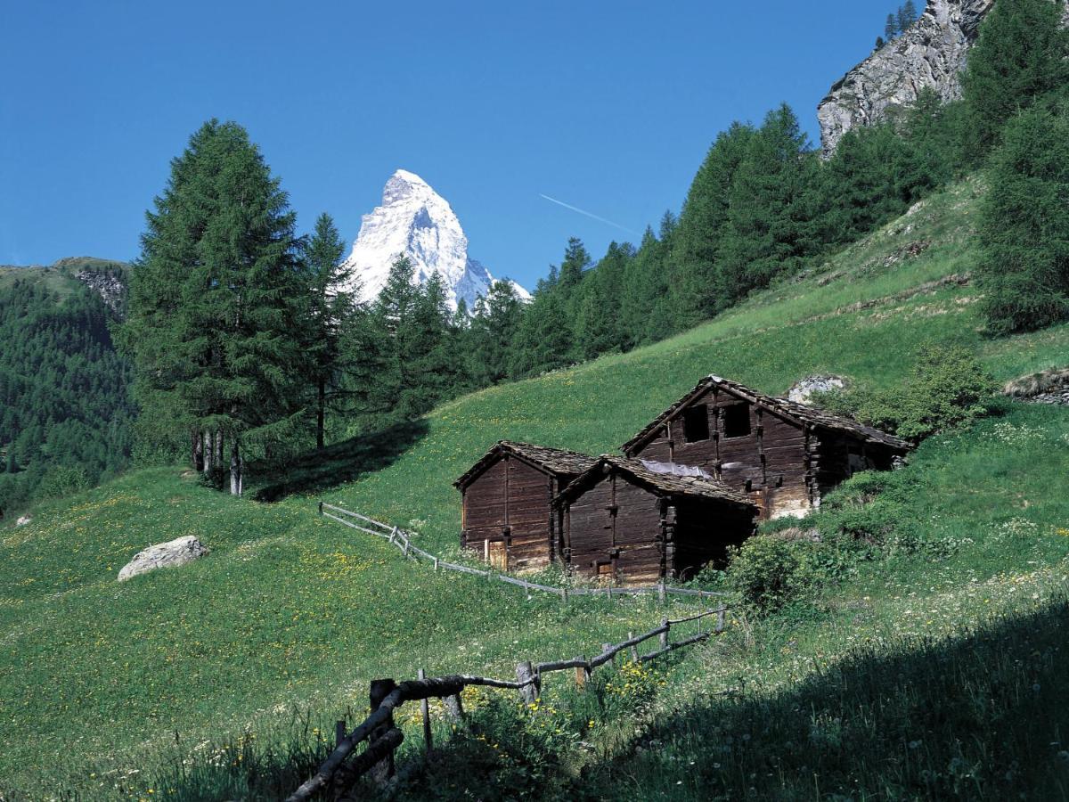 Apartment Kondor By Interhome Zermatt Exterior foto